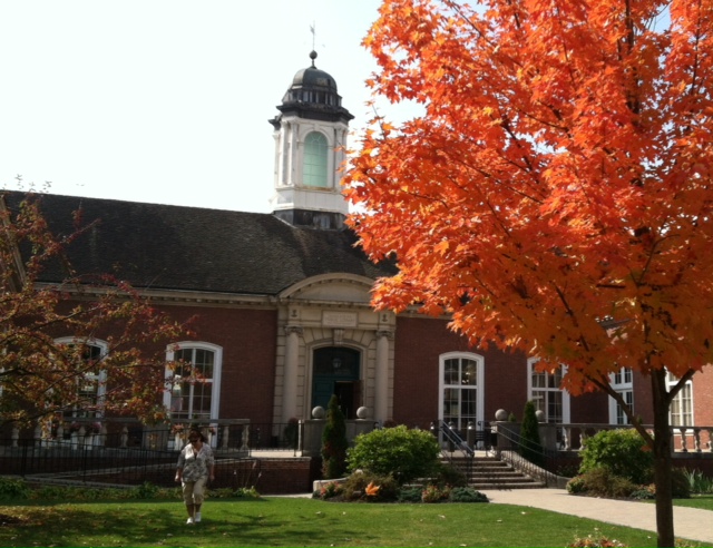 Library In the Fall