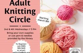 Adult Knitting Circle