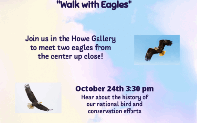 Hawk Creek Wildlife Center: Walk with Eagles